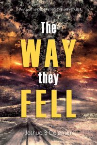 The Way They Fell Book Cover